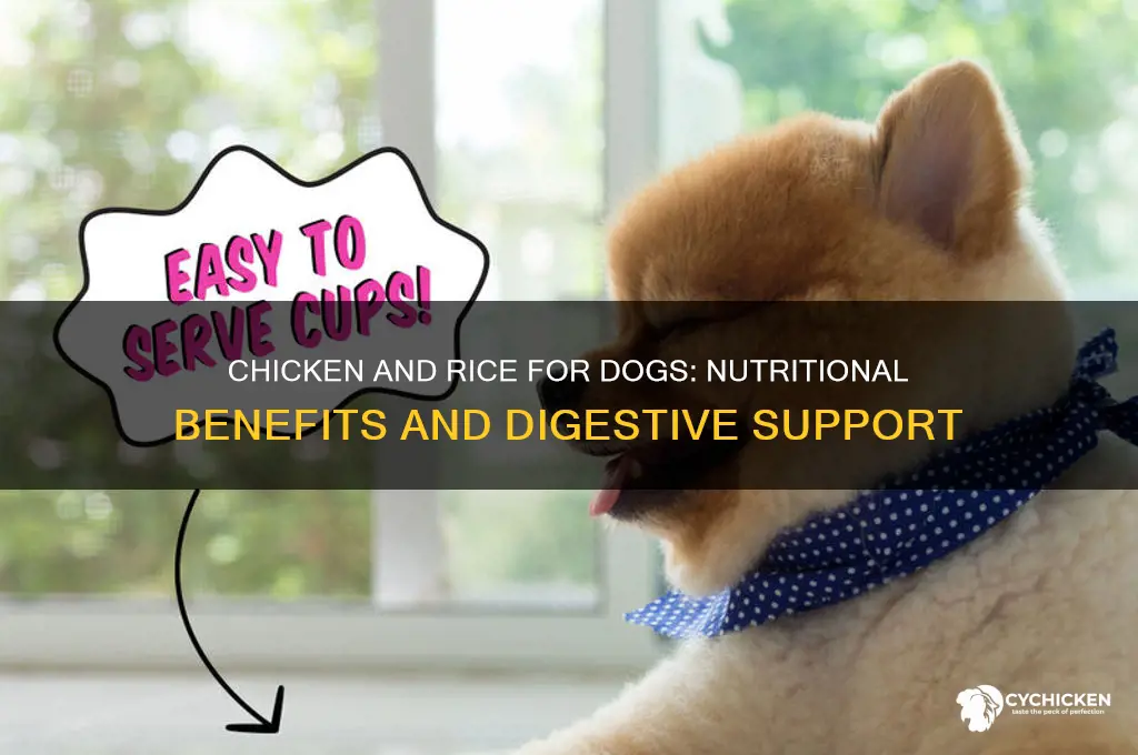 how does chicken and rice help dogs