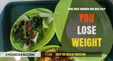 Chicken and Rice Diet: Weight Loss Explained