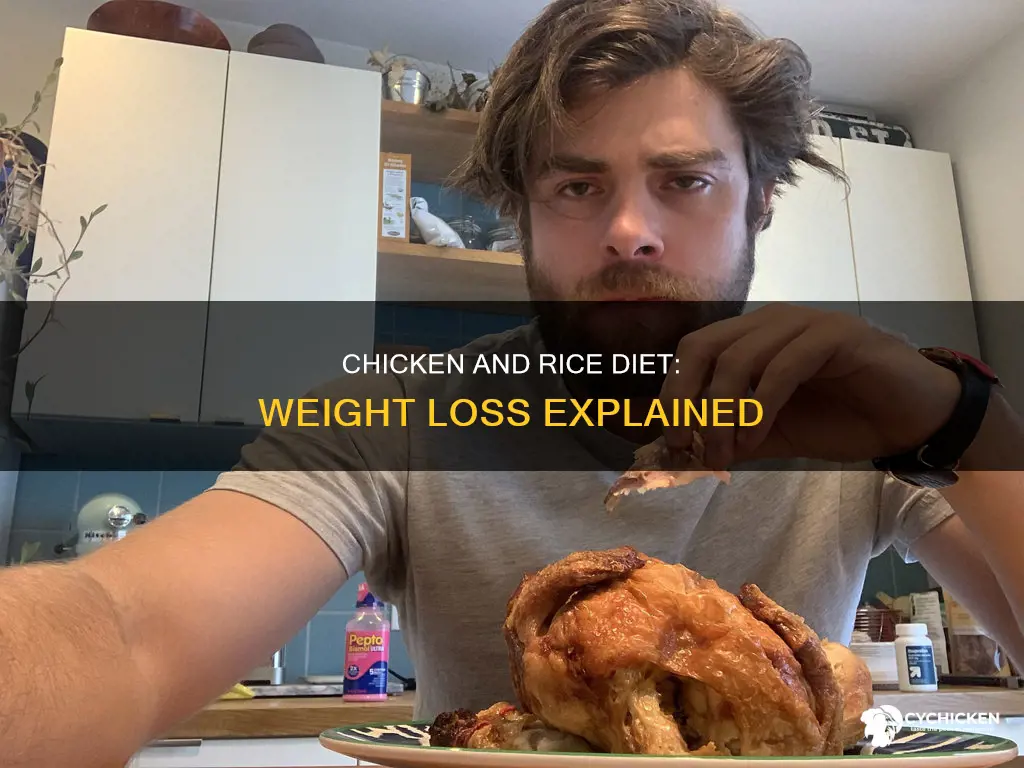 how does chicken and rice help you lose weight