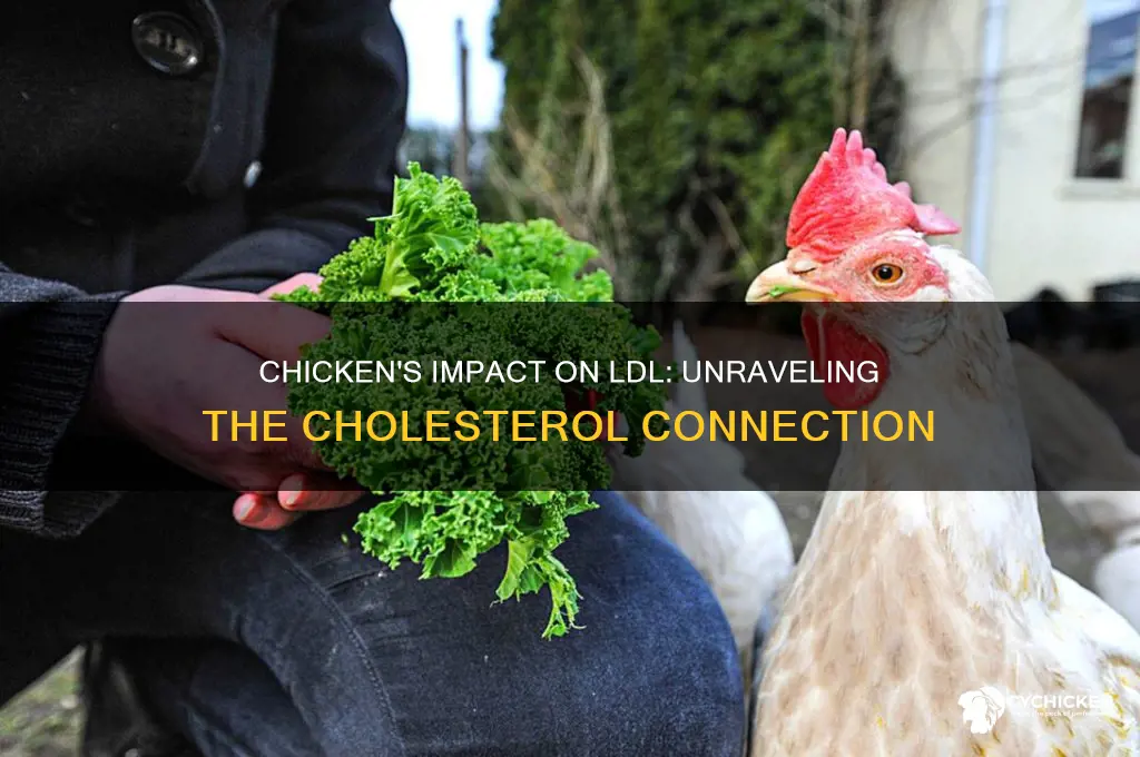 how does chicken effect low-density lipoprotein