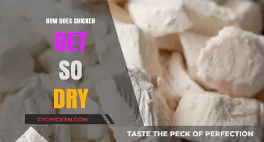 The Mystery of Dry Chicken: A Culinary Investigation