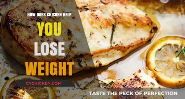 Chicken's Lean Protein Power: Boosting Weight Loss and Healthy Eating