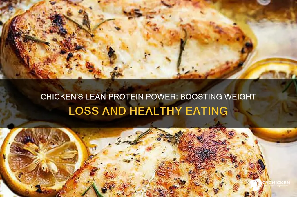 how does chicken help you lose weight