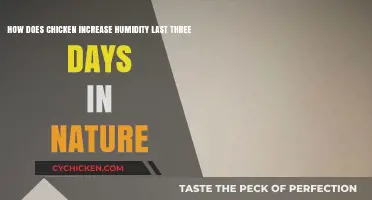 Chicken Humidity: Nature's Three-Day Moisture Mystery