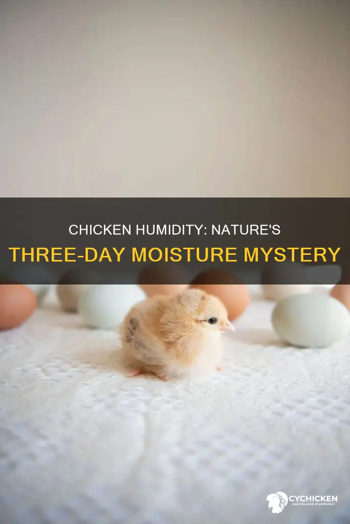 how does chicken increase humidity last three days in nature