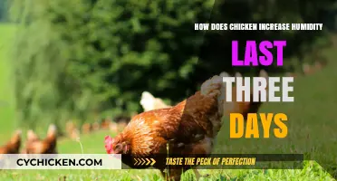 Chicken's Surprising Role in Boosting Humidity Levels Over Three Days