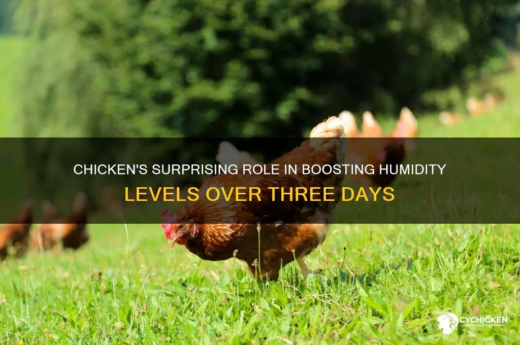 how does chicken increase humidity last three days