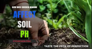 Impact of Chicken Manure on Soil pH: A Comprehensive Analysis