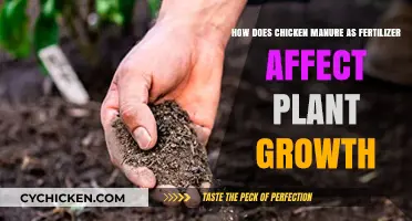 Chicken Manure Fertilizer: Impact on Plant Growth