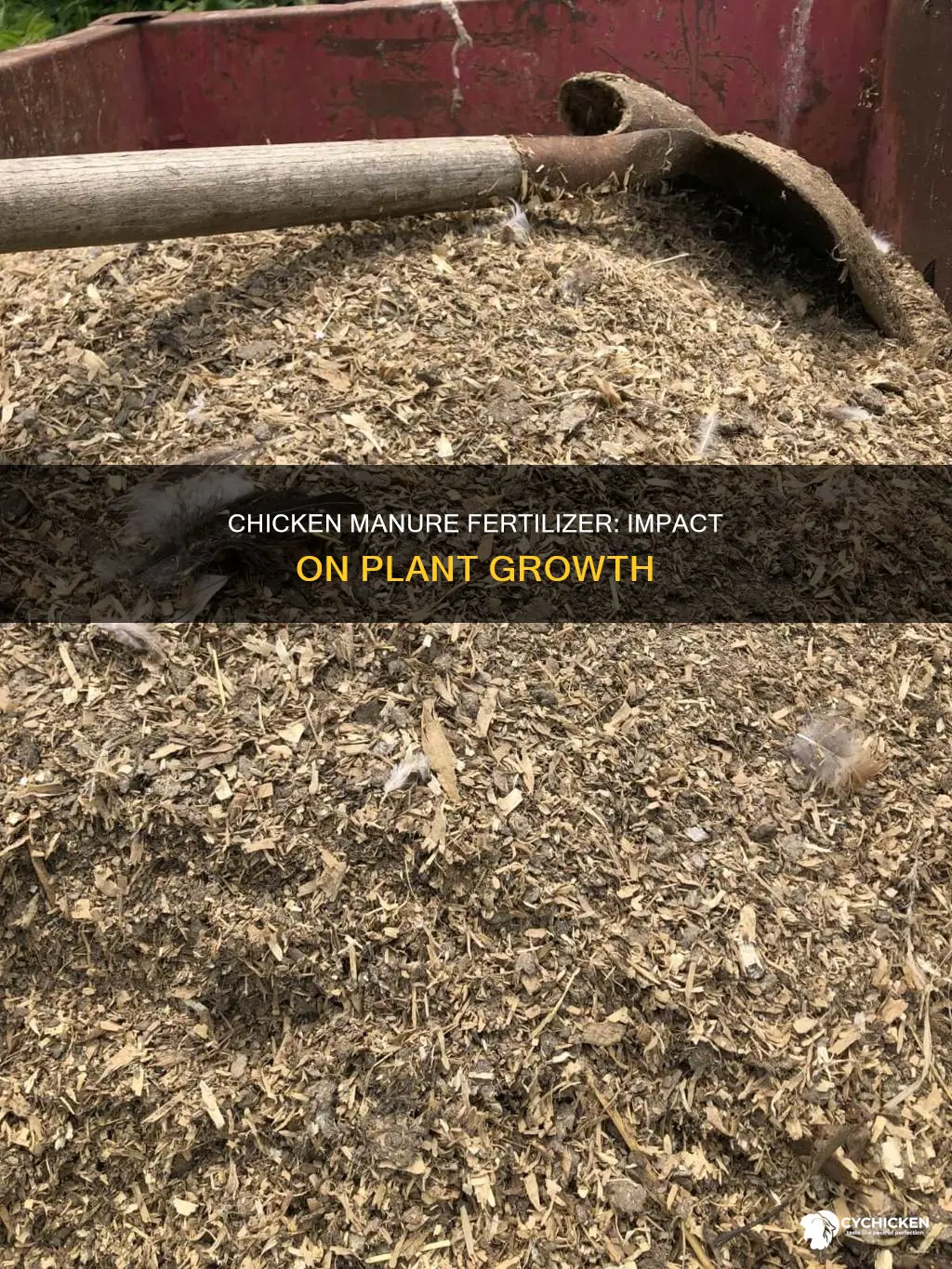 how does chicken manure as fertilizer affect plant growth