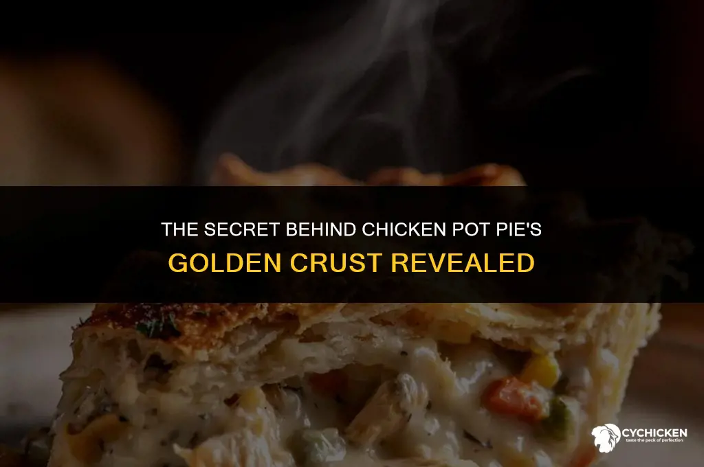 how does chicken pot pie get yellow