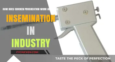 Chicken Artificial Insemination: Industry Insights and Applications