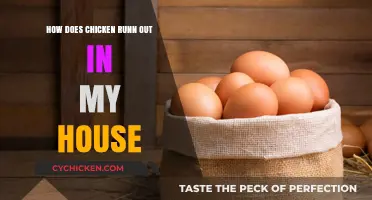 Why Chicken Disappears Fast in My Household: Tips to Make It Last