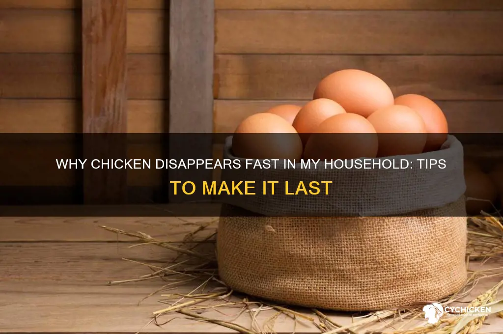 how does chicken runn out in my house