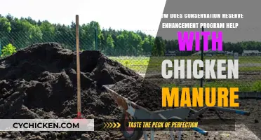 Chicken Manure: CREP's Surprising Benefits