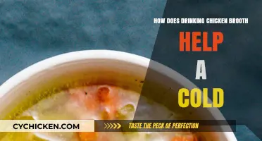 Soothe Your Cold: The Healing Power of Chicken Broth Explained