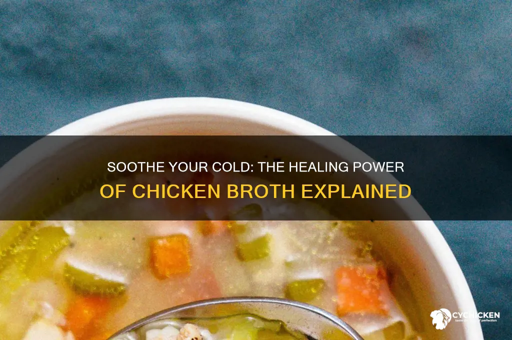 how does drinking chicken brooth help a cold