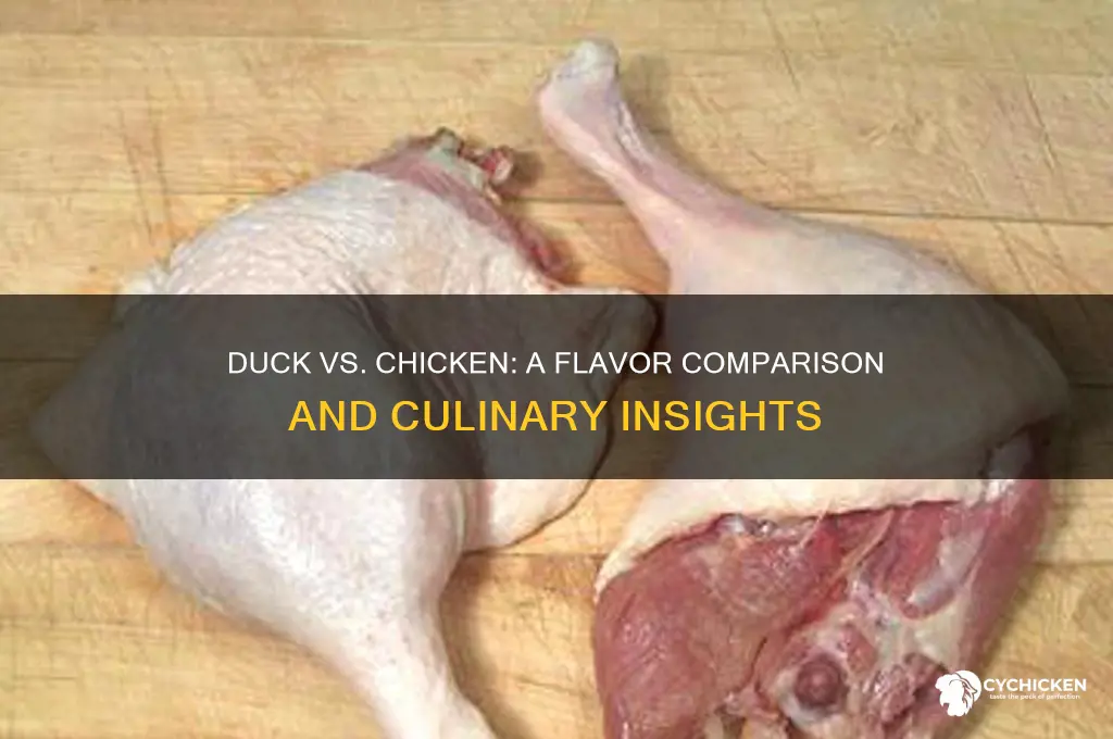 how does duck taste compared to chicken