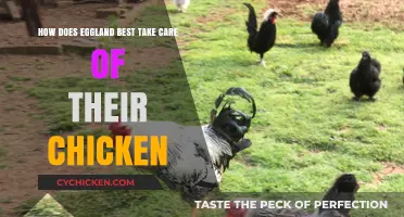 Eggland's Best: Our Happy, Healthy Hens