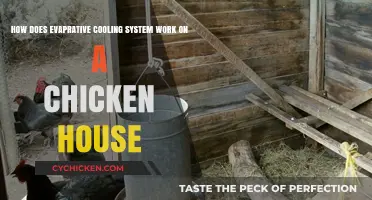 Evaporative Cooling System: Keeping Chicken Coops Cool