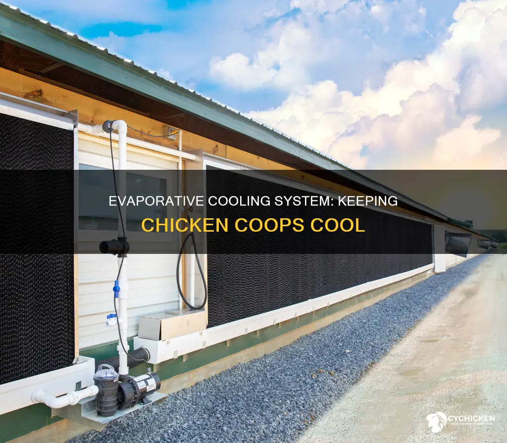 how does evaprative cooling system work on a chicken house