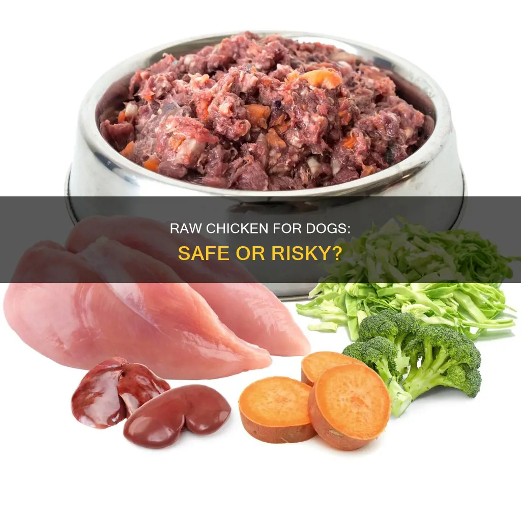 how does giving your dog raw chicken affect them
