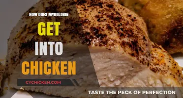 Unraveling the Mystery: How Myoglobin Gets into Chicken