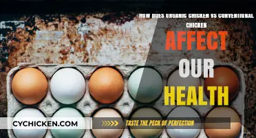 Organic vs Conventional Chicken: Which is Healthier?