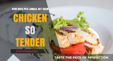Unlocking the Secret: Pita Jungle's Tender Chicken Recipe Revealed
