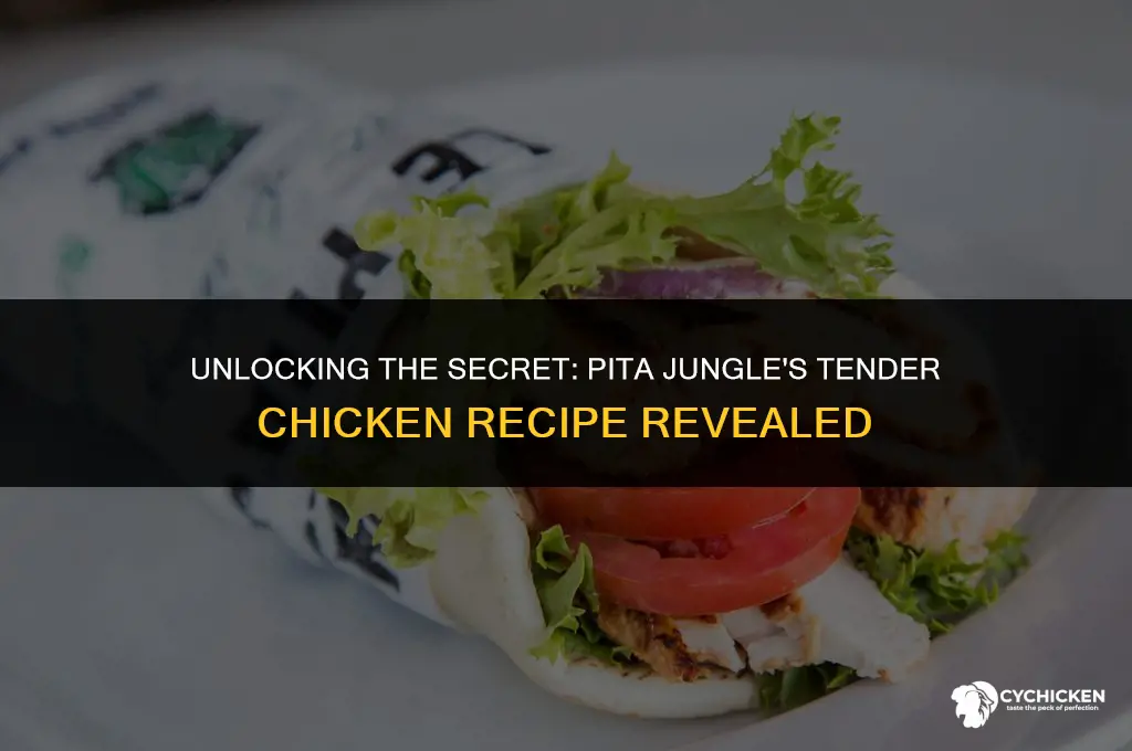 how does pita jungle get their chicken so tender