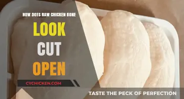 Exploring the Raw Chicken Bone: A Detailed Look Inside