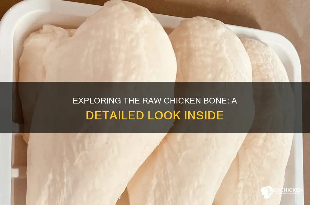 how does raw chicken bone look cut open