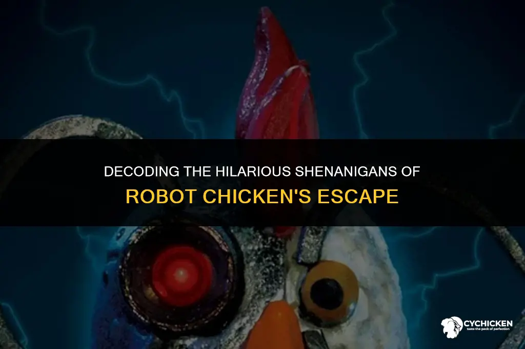 how does robot chicken get away