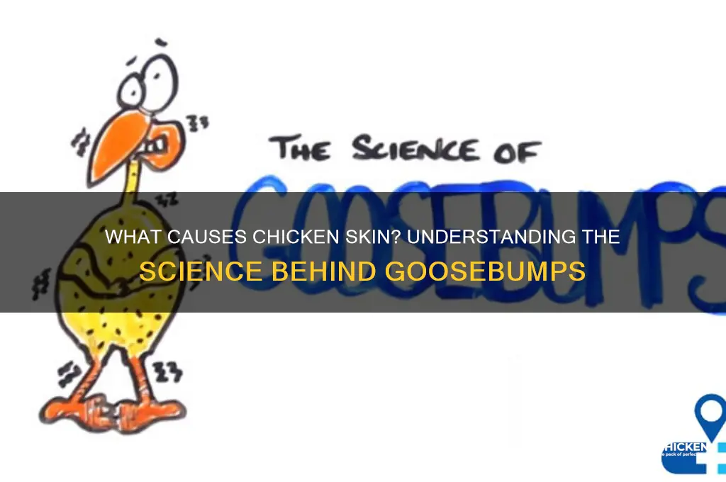how does somethign give you chicken skin