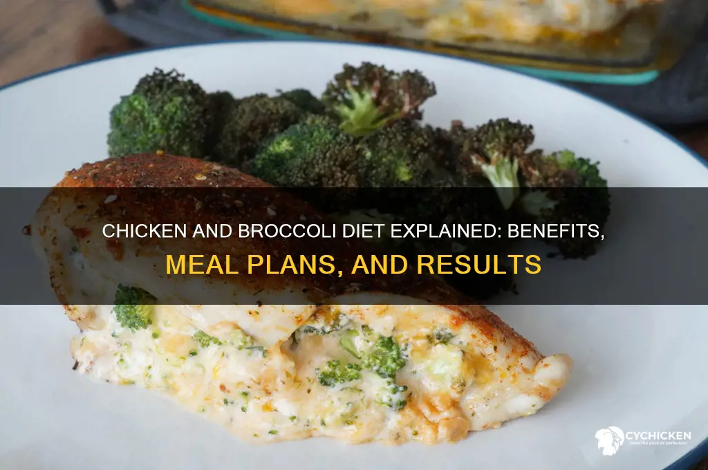 how does the chicken and broccoli diet work