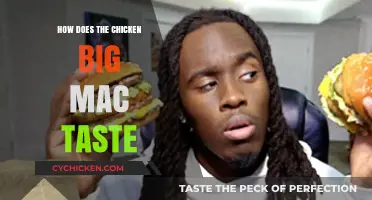 Savoring the Chicken Big Mac: A Flavorful Review and Taste Test
