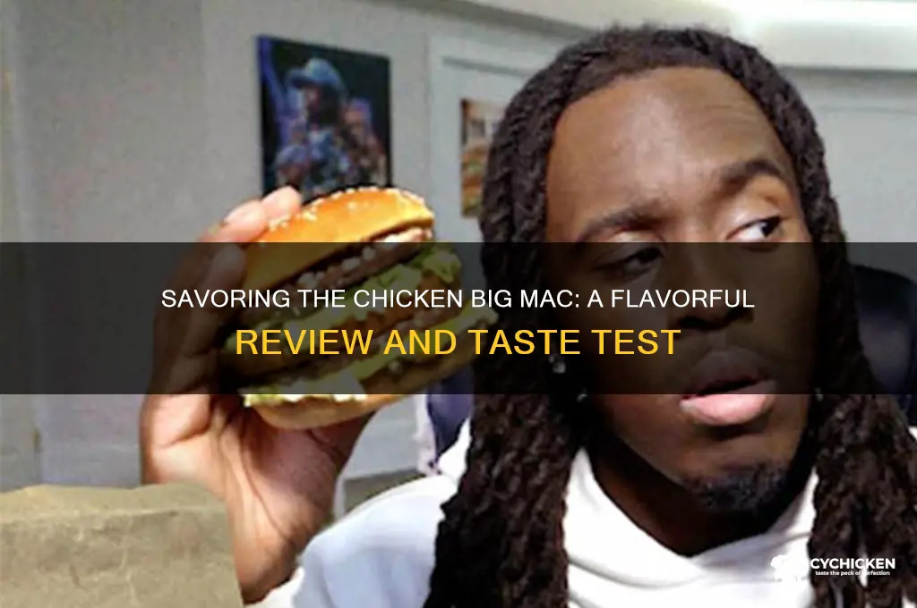 how does the chicken big mac taste
