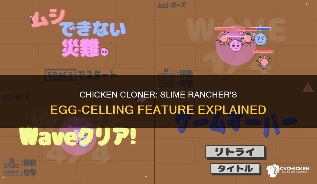 how does the chicken cloner work in slime rancher