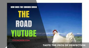Why Did the Chicken Cross the Road? YouTube's Funniest Answers