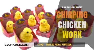 Unveiling the Mystery: How the Magic Chirping Chicken Works