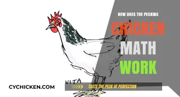 Understanding the Pecking Chicken Math: A Simple Breakdown of the Concept