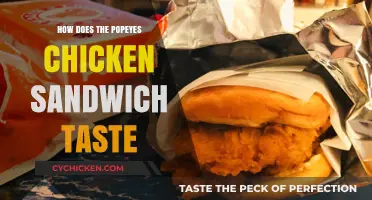 Popeyes Chicken Sandwich Review: Flavor, Texture, and Hype Explored