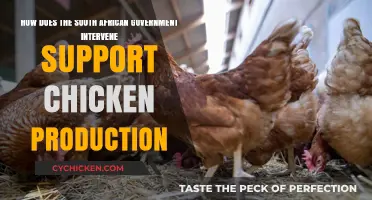 South Africa's Poultry Sector: Government Intervention Strategies