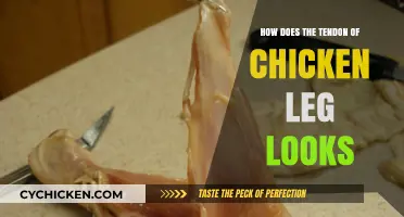 Exploring the Appearance and Structure of Chicken Leg Tendons