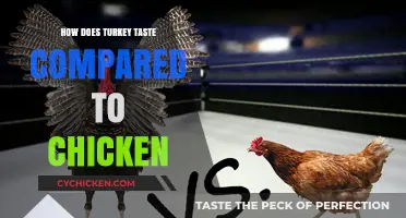Turkey vs. Chicken: A Flavor Comparison and Culinary Insights