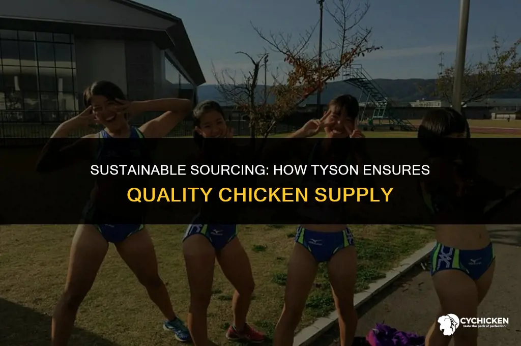 how does tyson get their chicken