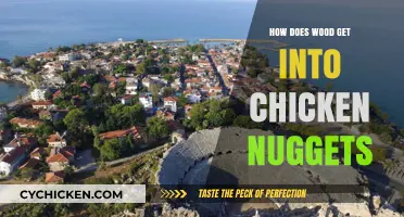The Surprising Journey of Wood into Your Chicken Nuggets