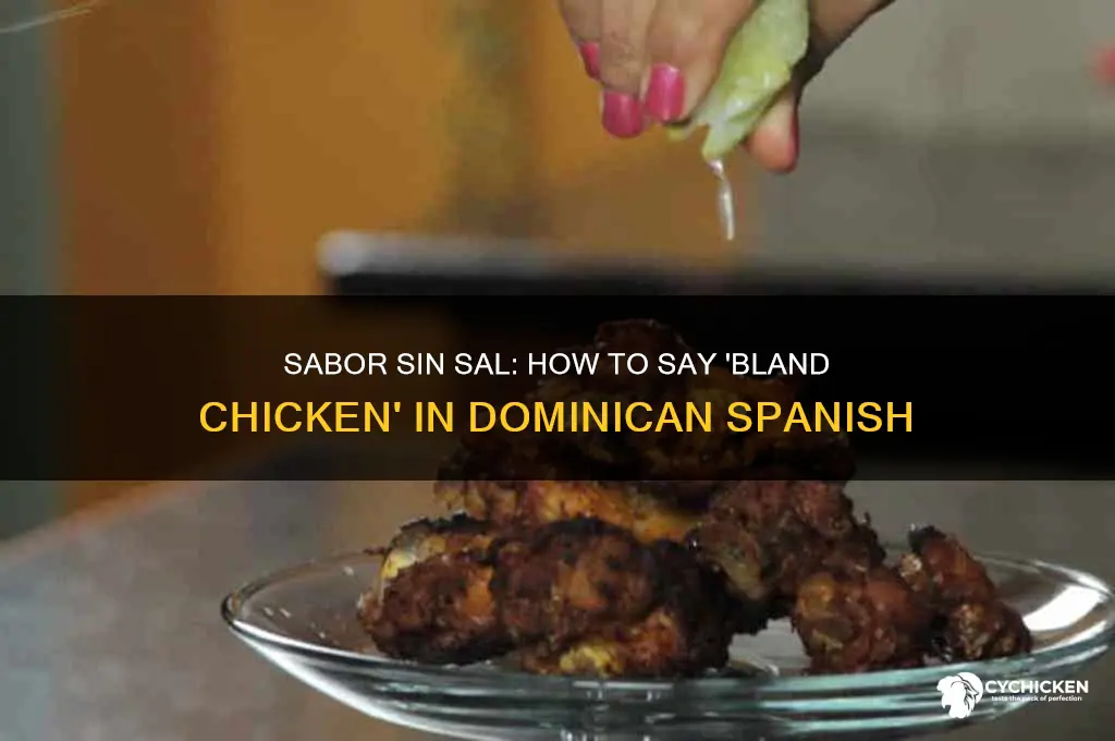 how doyou say bland chicken in dominican spanish