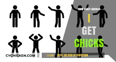 Optimal Timing for Chick Arrival: A Comprehensive Guide