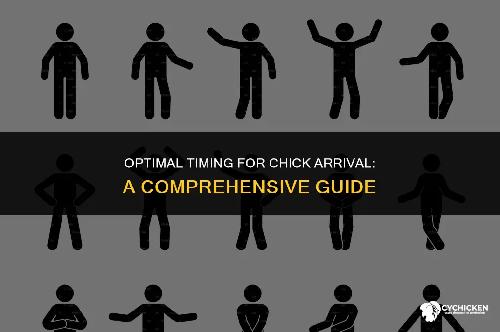 how early should i get chicks